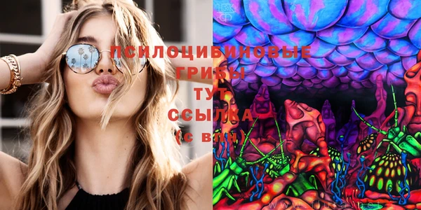 PSILOCYBIN Новый Уренгой