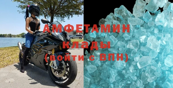 индика Сосновый Бор
