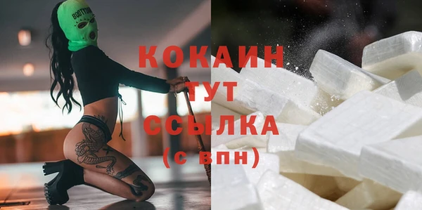 PSILOCYBIN Лиски