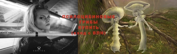 MDMA Premium VHQ Ладушкин