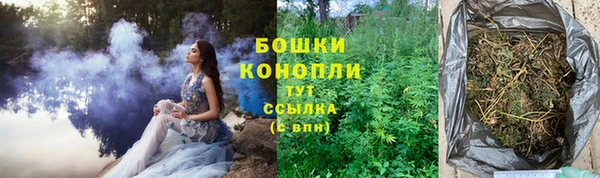 PSILOCYBIN Лиски