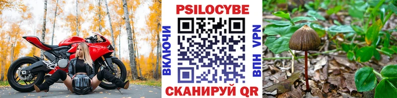 Галлюциногенные грибы GOLDEN TEACHER площадка как зайти Похвистнево