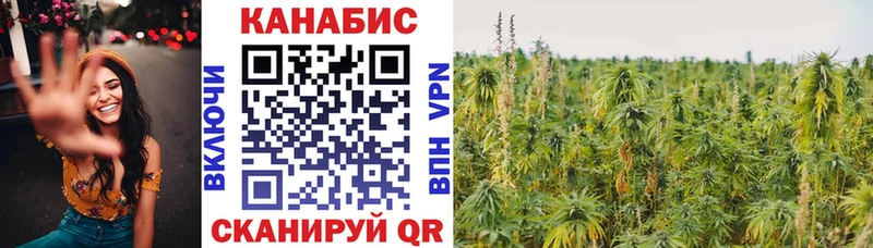 цена наркотик Похвистнево Бошки Шишки Ganja